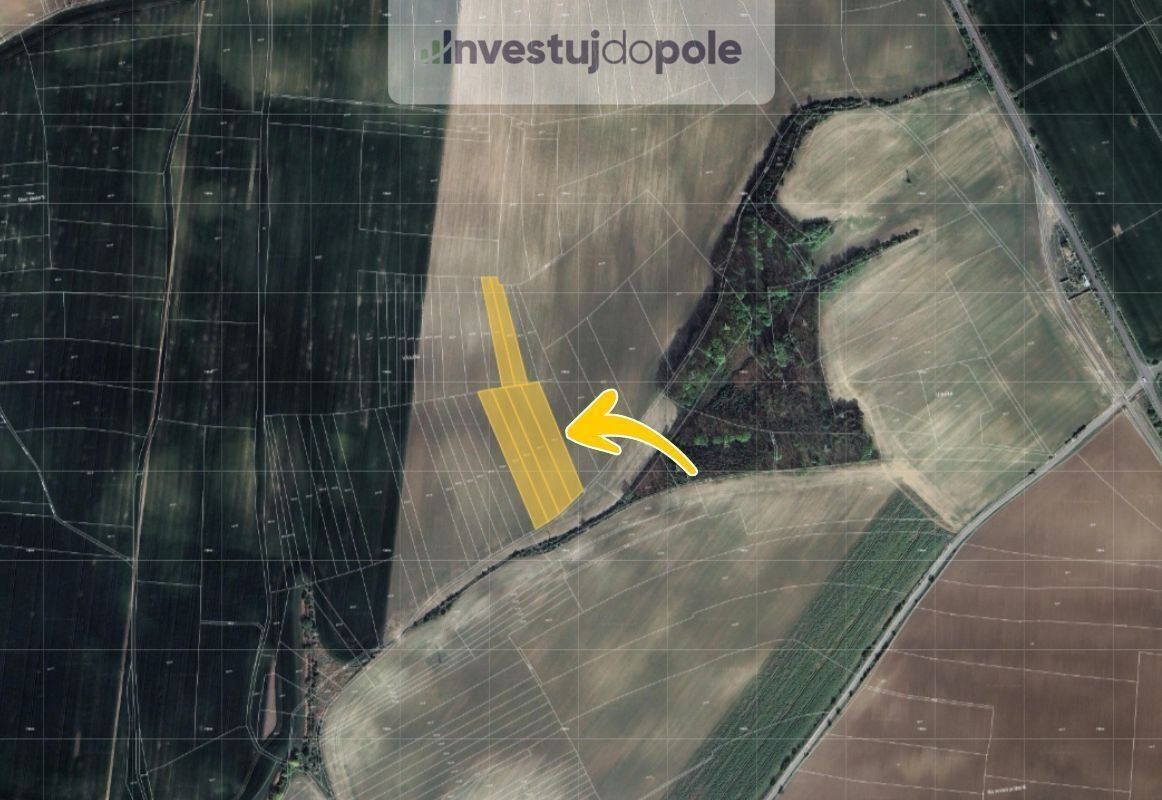 Prodej zemědělský pozemek - Olovnice, 12 498 m²