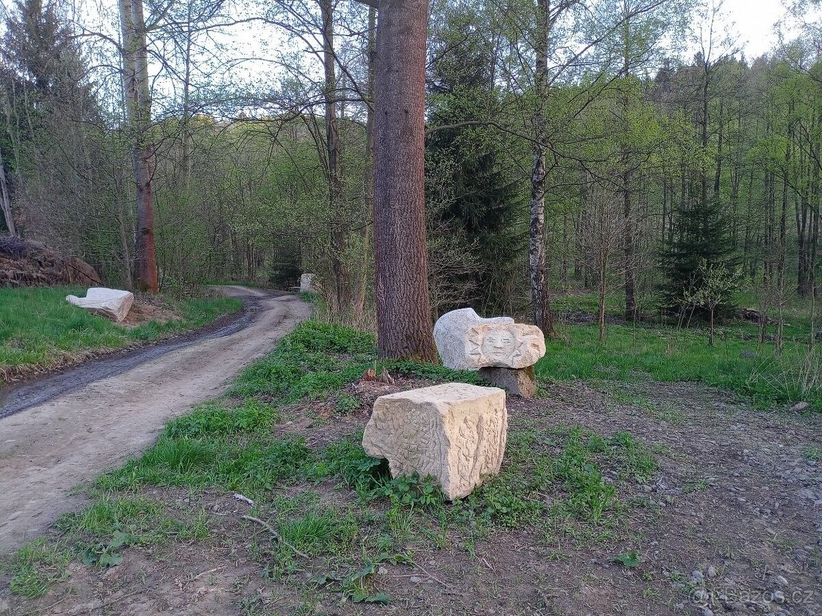 Louky, Zlatá Olešnice, 468 47, 22 000 m²