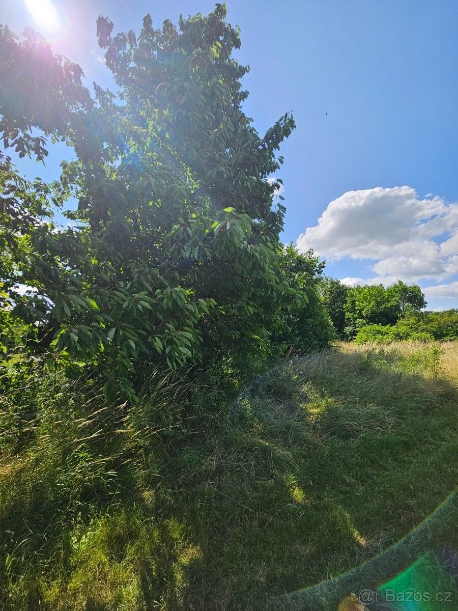 Prodej louka - Olomouc, 779 00, 892 m²