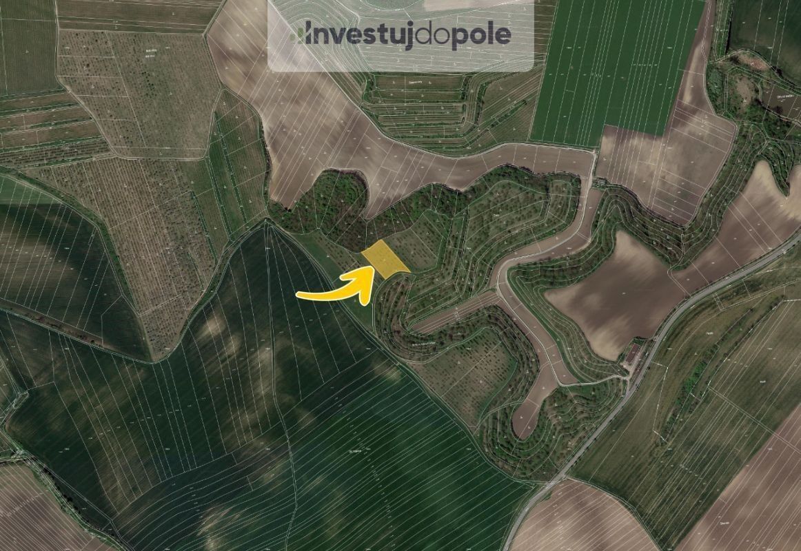 Prodej pozemek - Kobylí, 3 444 m²