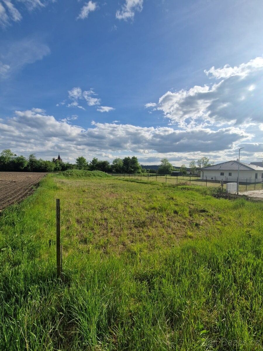 Pozemky pro bydlení, Dlouhá Lhota u Mladé Boleslavě, 294 05, 780 m²