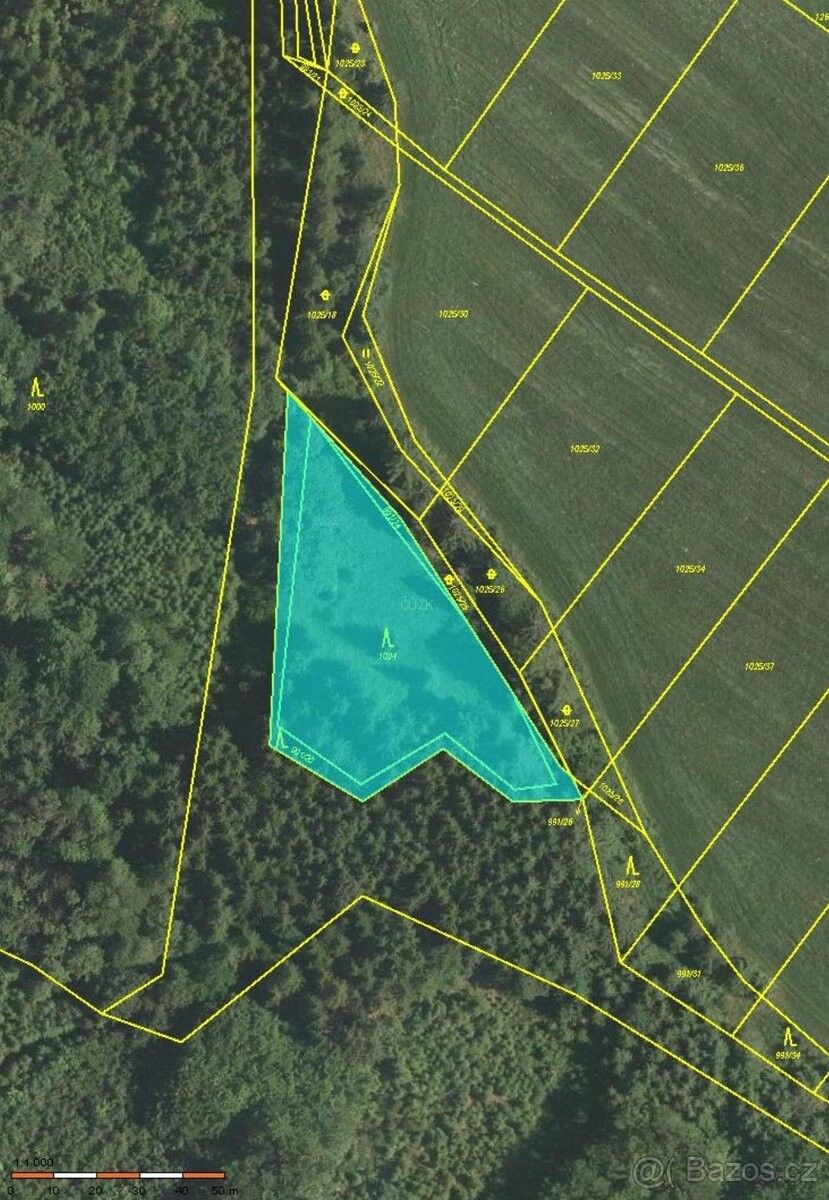 Lesy, Sušice, 342 01, 598 m²