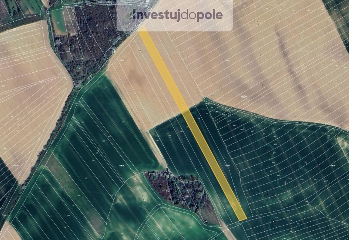 Zemědělské pozemky, Hýsly, 18 704 m²