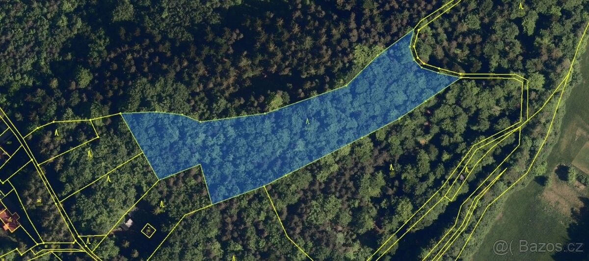 Prodej les - Kunčice pod Ondřejníkem, 739 13, 2 140 m²