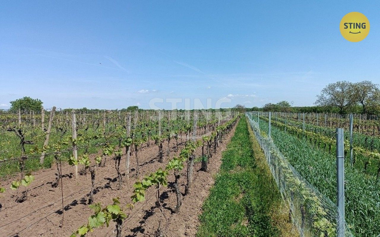 Ostatní, Hrušky, 1 110 m²