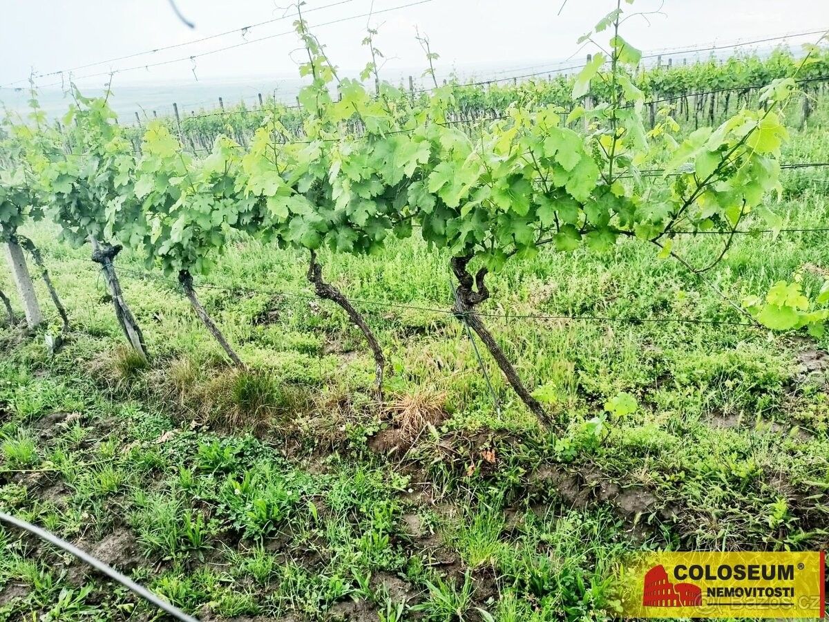 Prodej zemědělský pozemek - Němčičky u Břeclavi, 691 07, 34 673 m²