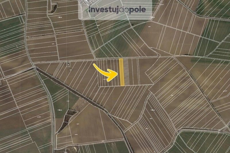 Prodej zemědělský pozemek - Němčice nad Hanou, 798 27, 1 274 m²