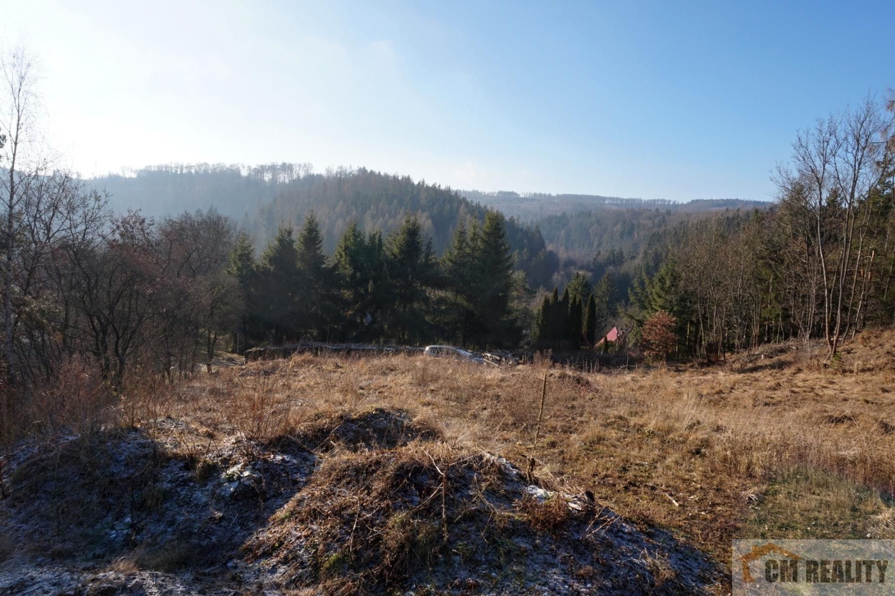 Pozemky pro bydlení, Seč, Lipová, 3 964 m²