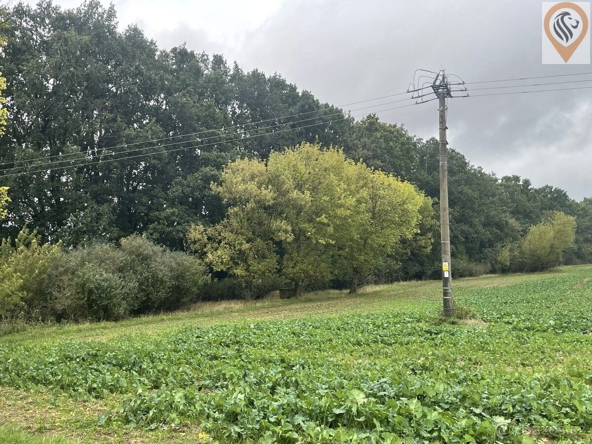 Lesy, Úhonice, 252 18, 7 001 m²