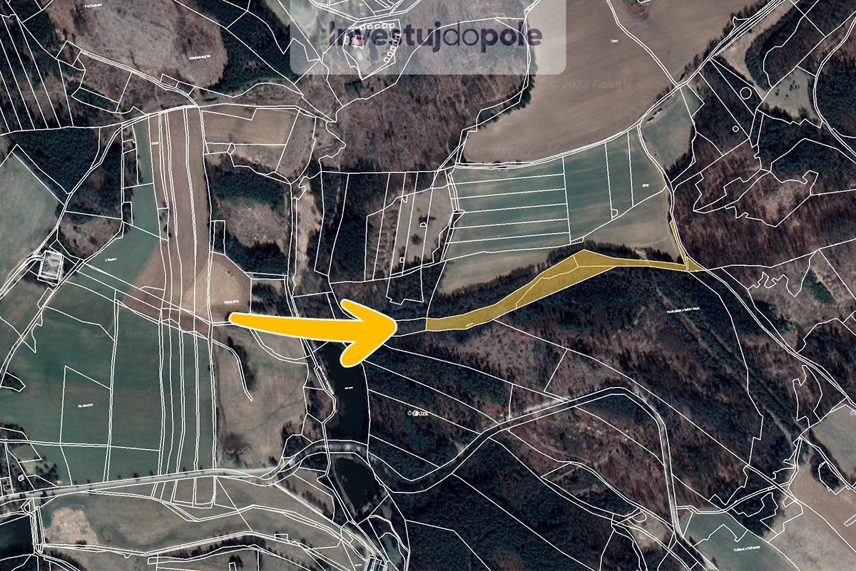 Prodej les - Brandlín, Volfířov, 13 682 m²