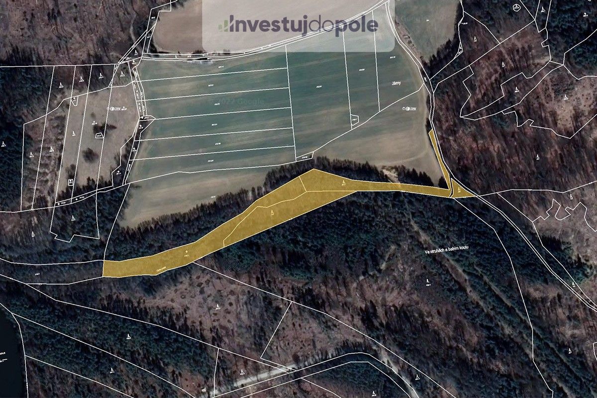 Lesy, Brandlín, Volfířov, 13 682 m²