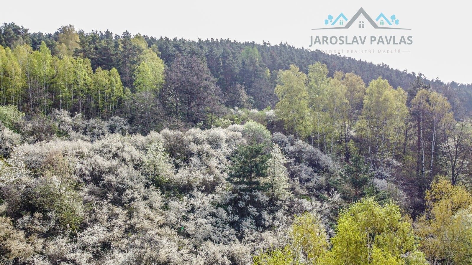 Prodej les - Kladné, Kájov, 14 466 m²