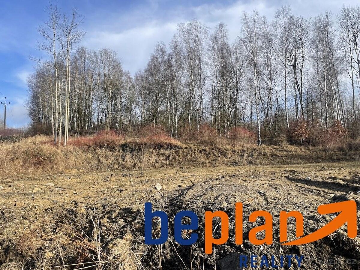 Prodej pozemek pro bydlení - Nová Role, 362 25, 802 m²