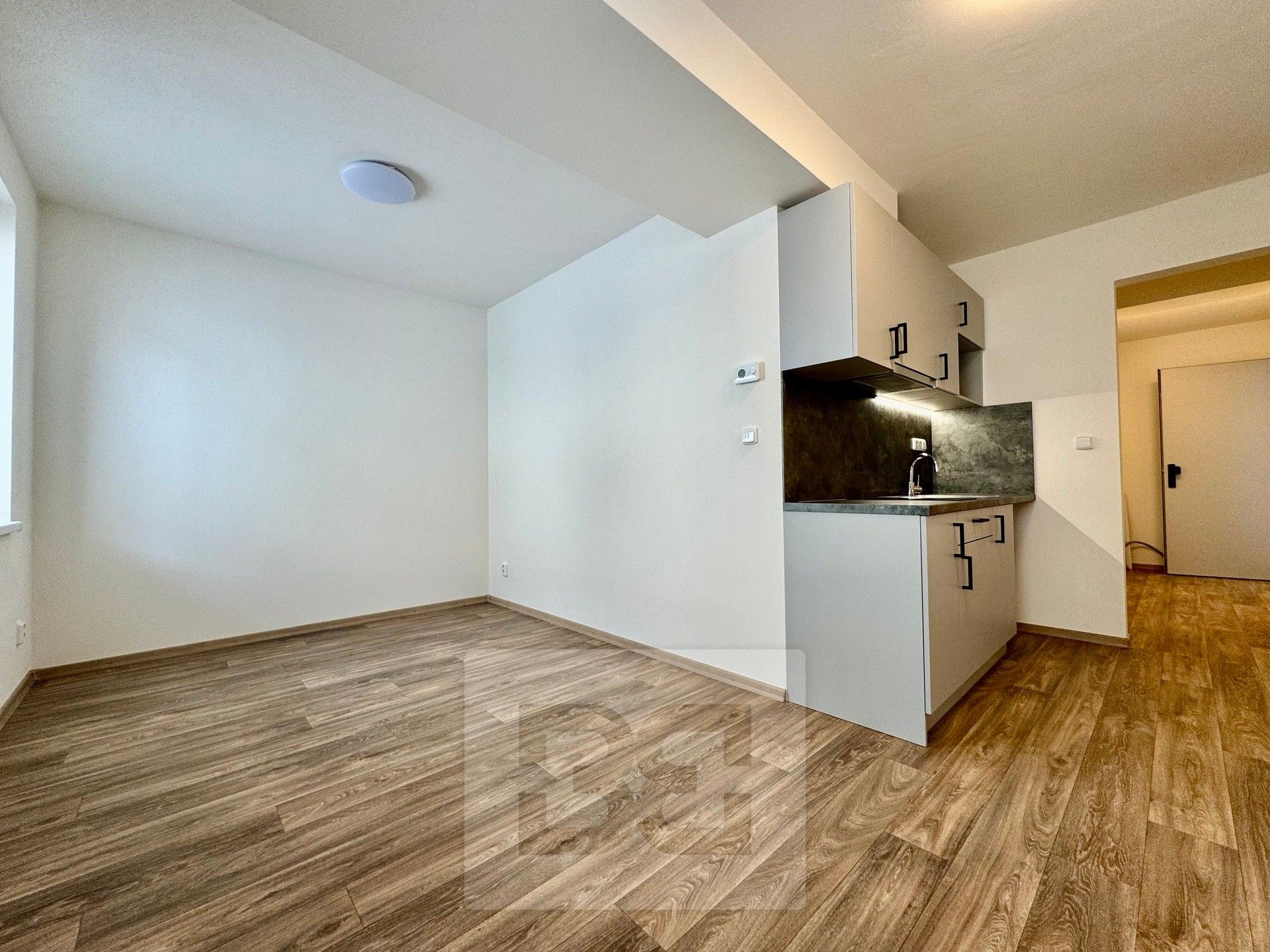 1+kk, Nová ulice, Střelice, 30 m²