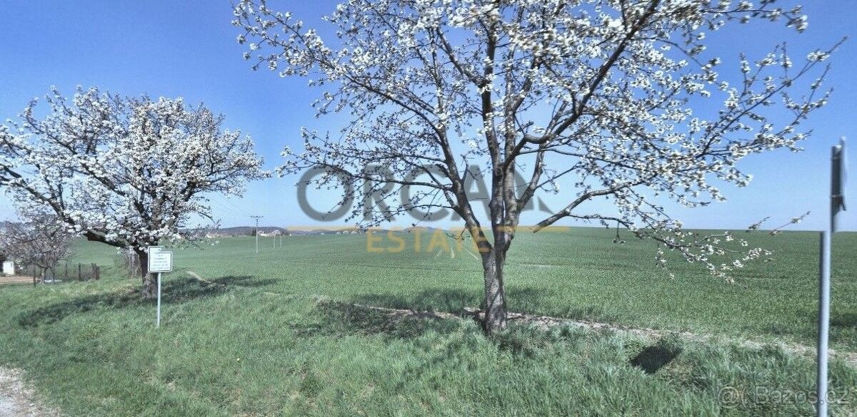 Prodej pozemek - Moravany u Kyjova, 696 50, 5 503 m²