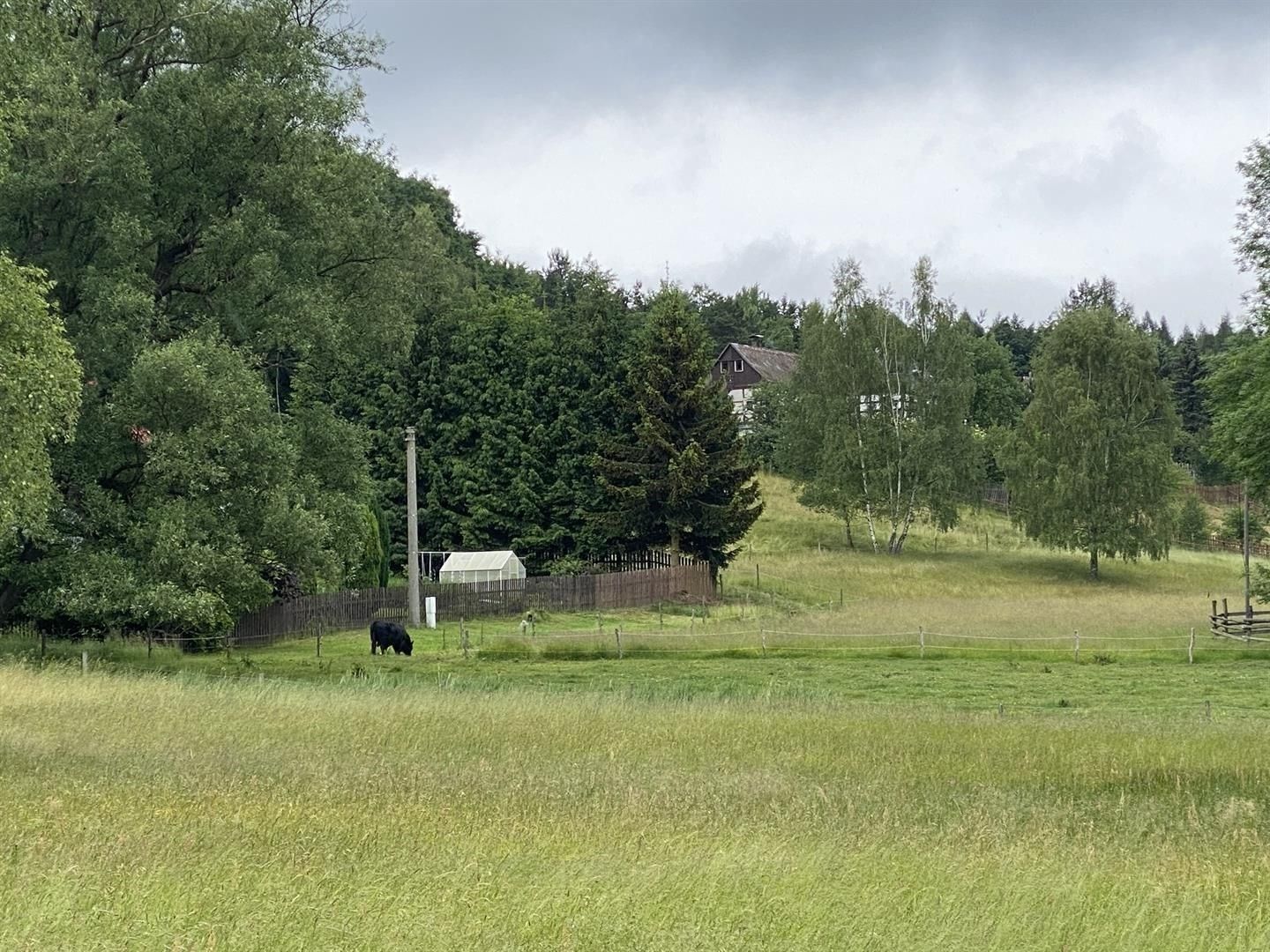 Prodej louka - Děčín, Česko, 4 190 m²