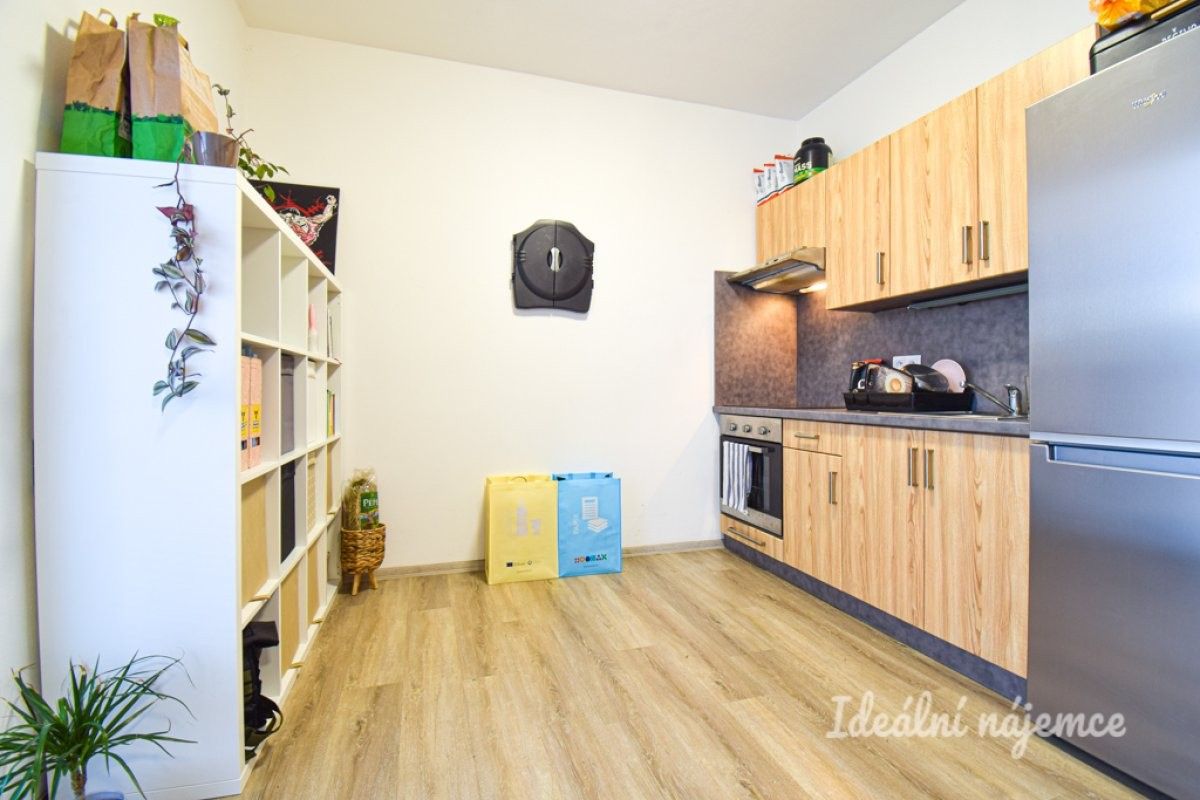 1+kk, Svitavská, Brno, 29 m²