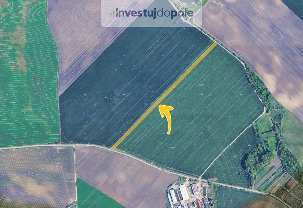 Prodej zemědělský pozemek - Nikolčice, 15 471 m²