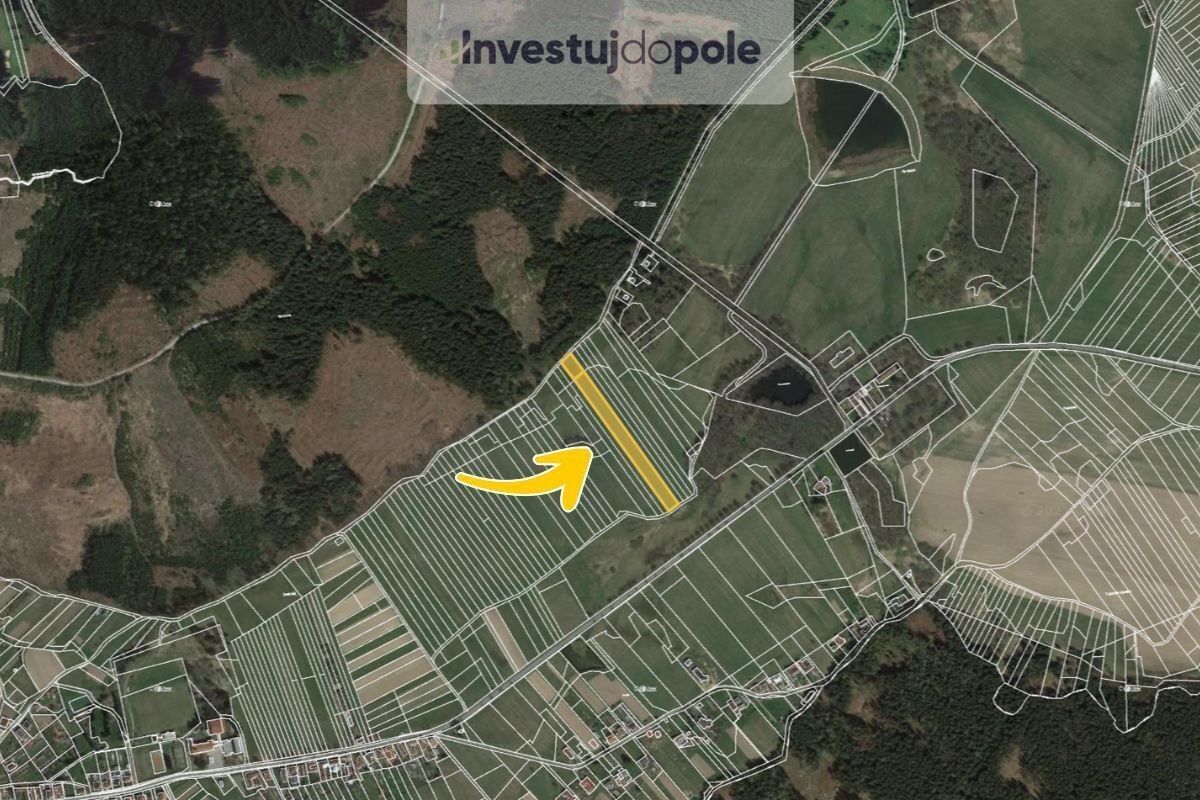 Prodej zemědělský pozemek - Benešov, 4 447 m²
