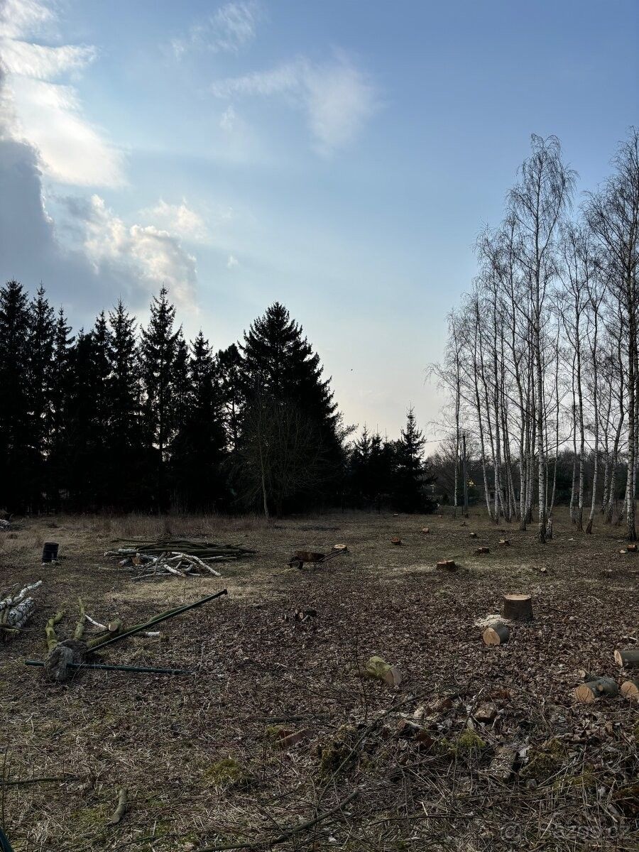 Prodej pozemek pro bydlení - Cheb, 350 02, 1 000 m²
