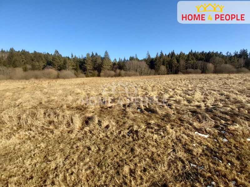 Louky, Černá v Pošumaví, 9 804 m²