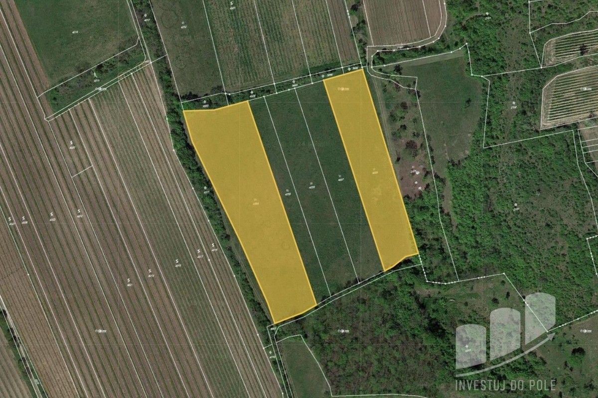 Louky, Horní Věstonice, 13 621 m²
