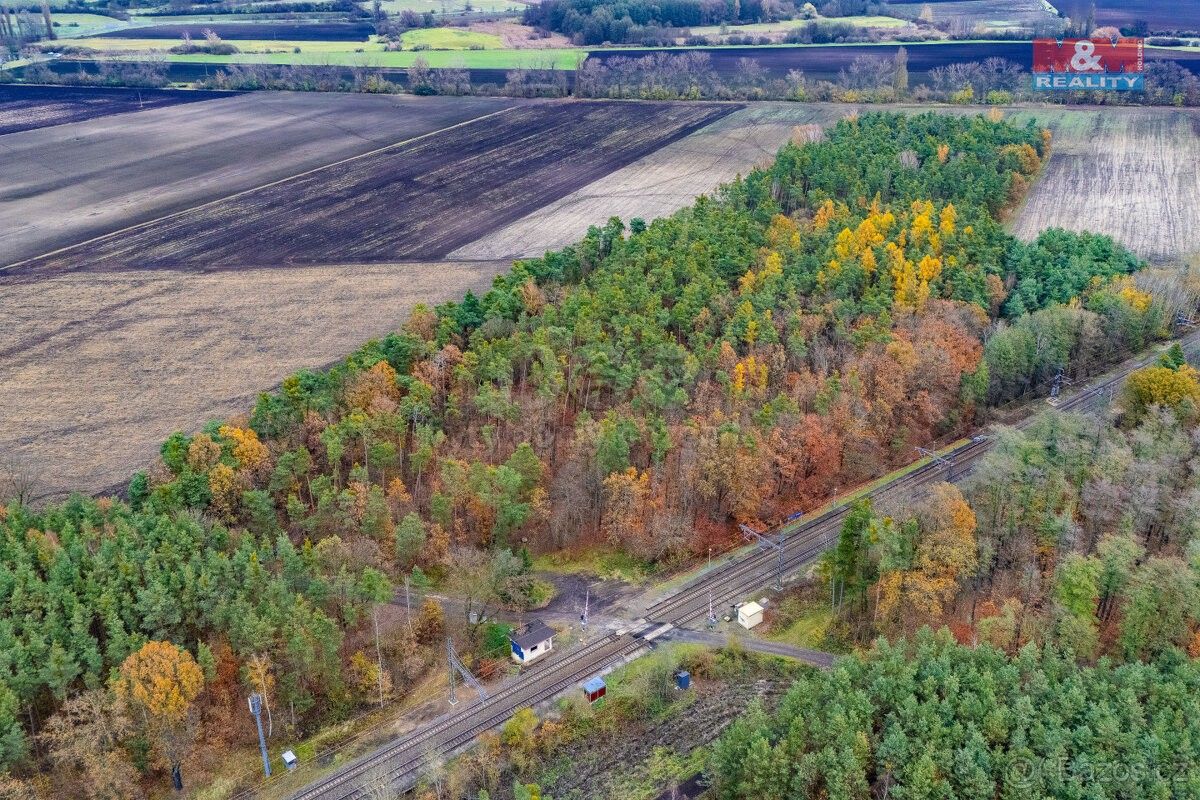 Prodej les - Lysá nad Labem, 289 22, 6 436 m²