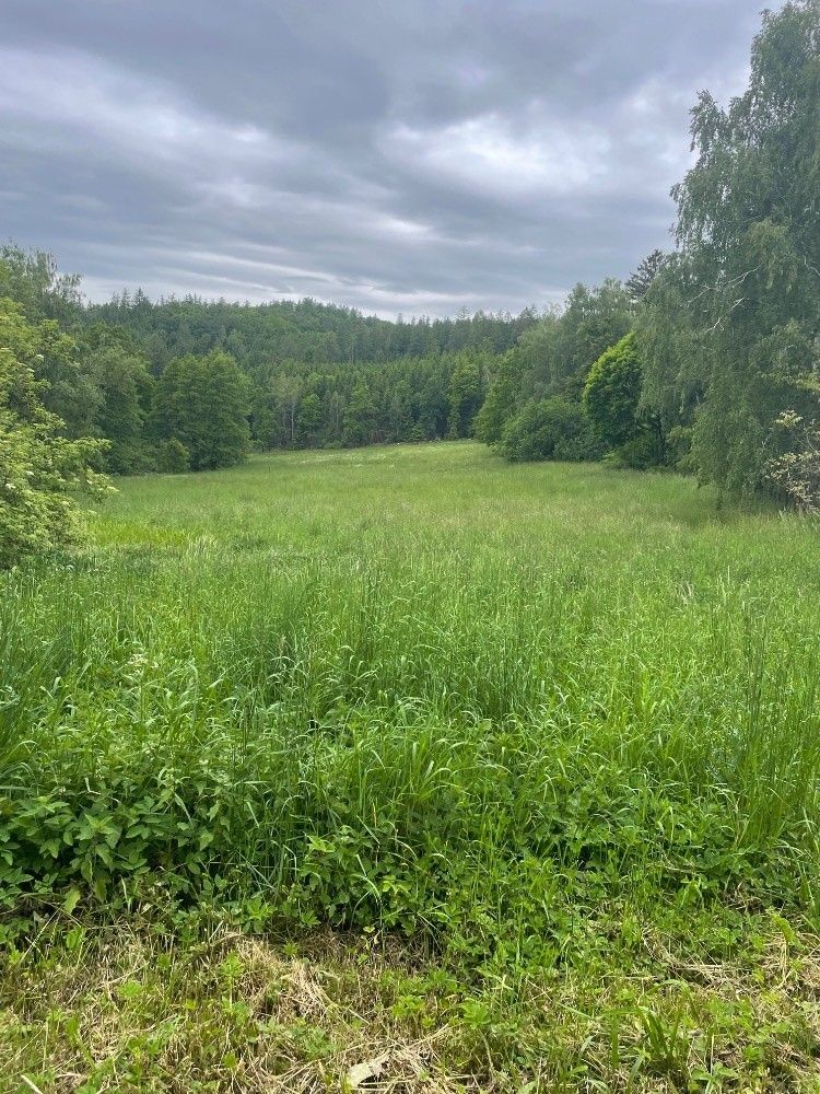 Pozemky pro bydlení, Seč, 538 07, 900 m²