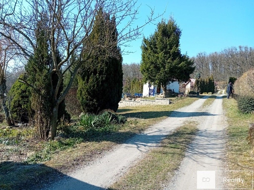 Zahrady, Kosmonosy, 466 m²