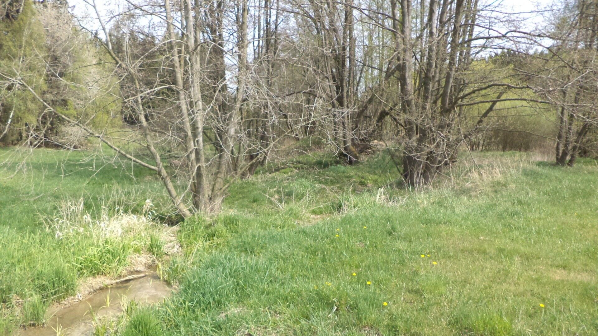 Prodej zemědělský pozemek - Stupčice, Mezno, 8 388 m²