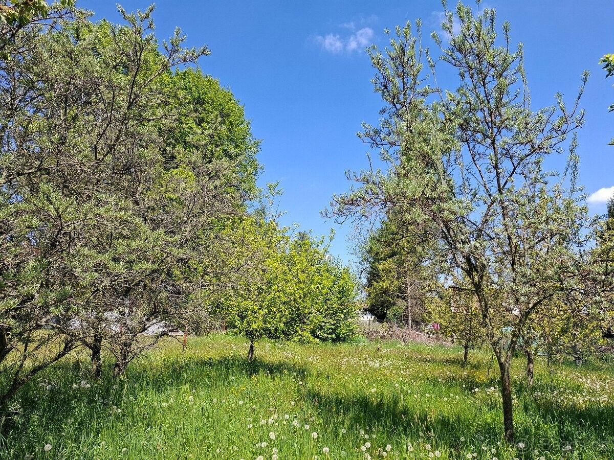 Prodej dům - Nová Cerekev, 394 15, 704 m²