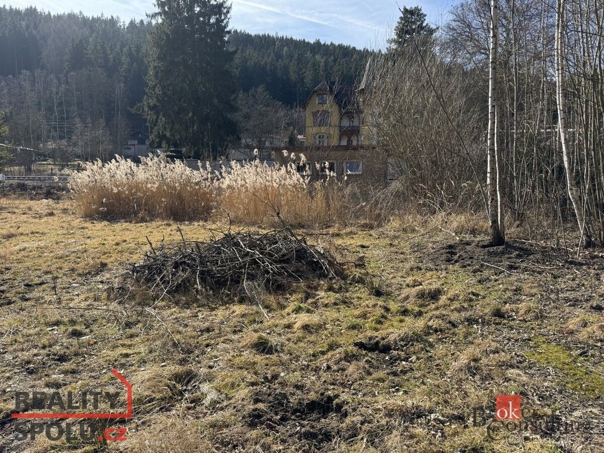 Prodej zemědělský pozemek - Karlovy Vary, 360 01, 5 173 m²