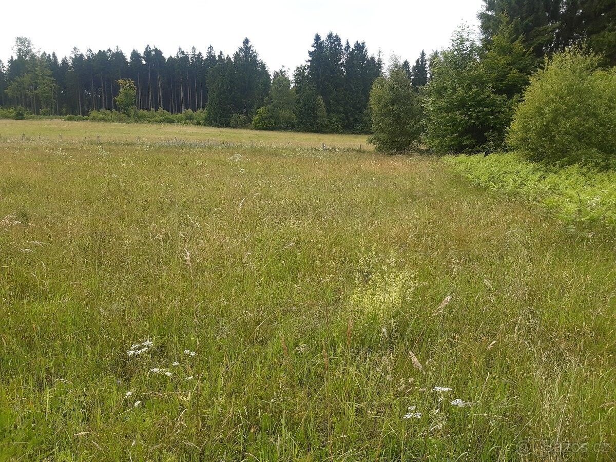 Prodej zahrada - Nová Bystřice, 378 33, 4 664 m²