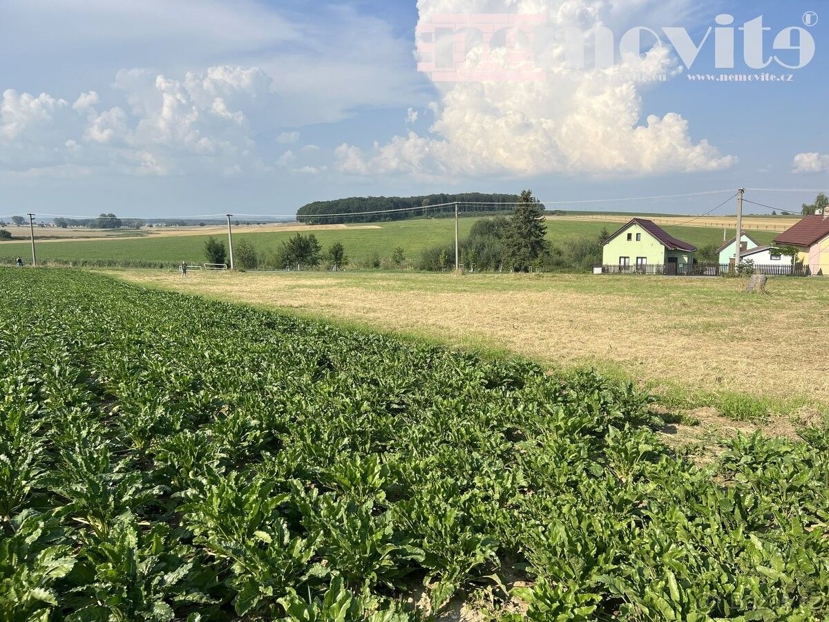 Prodej pozemek pro bydlení - Nechanice, 503 15, 974 m²