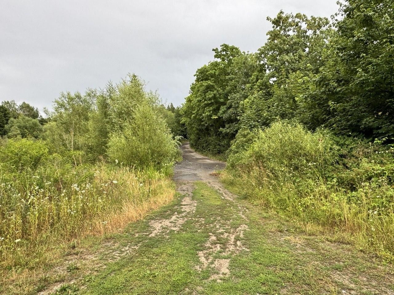 Prodej pozemek pro bydlení - Ve Stráži, Psáry, 10 300 m²