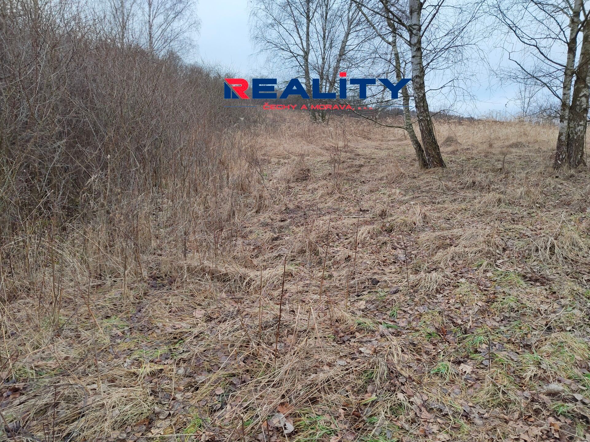 Prodej zemědělský pozemek - Gruna, 4 899 m²