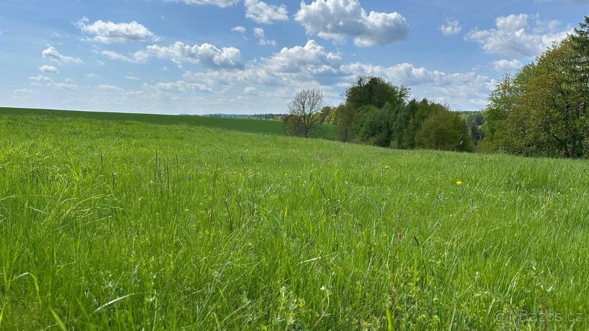 Pozemky pro bydlení, Červený Kostelec, 549 41, 32 970 m²