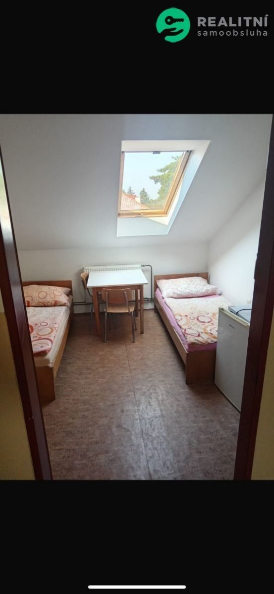 Byty, Bílé Předměstí, Pardubice, 25 m²