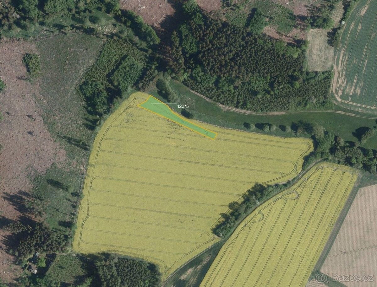 Prodej les - Pacov, 395 01, 38 336 m²