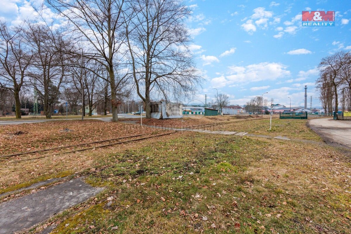 Prodej pozemek - Dolní Rychnov, 356 04, 5 333 m²