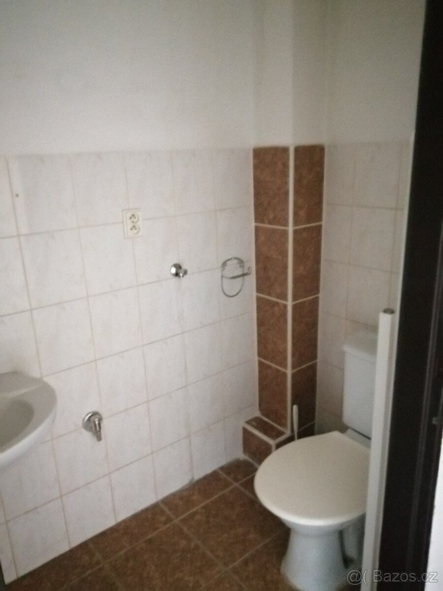1+kk, Brno, 602 00, 20 m²