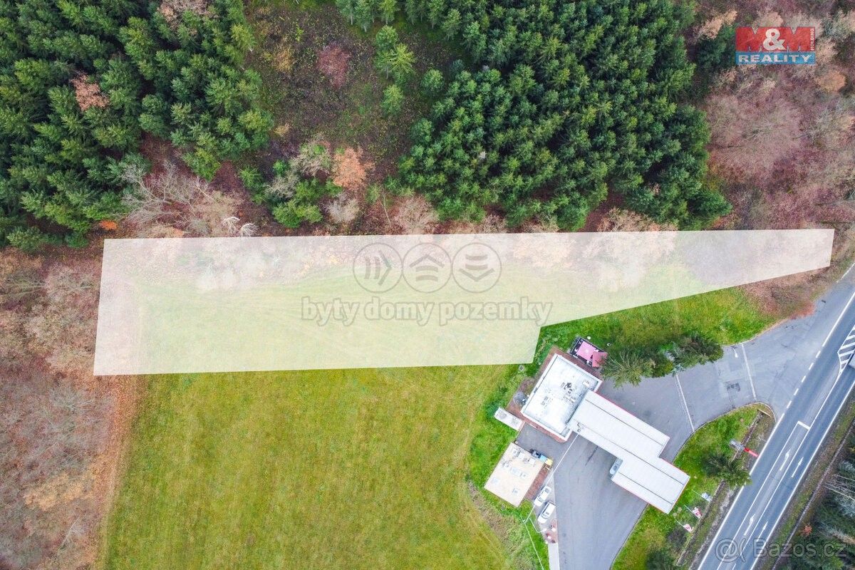 Prodej les - Františkovy Lázně, 351 01, 2 962 m²