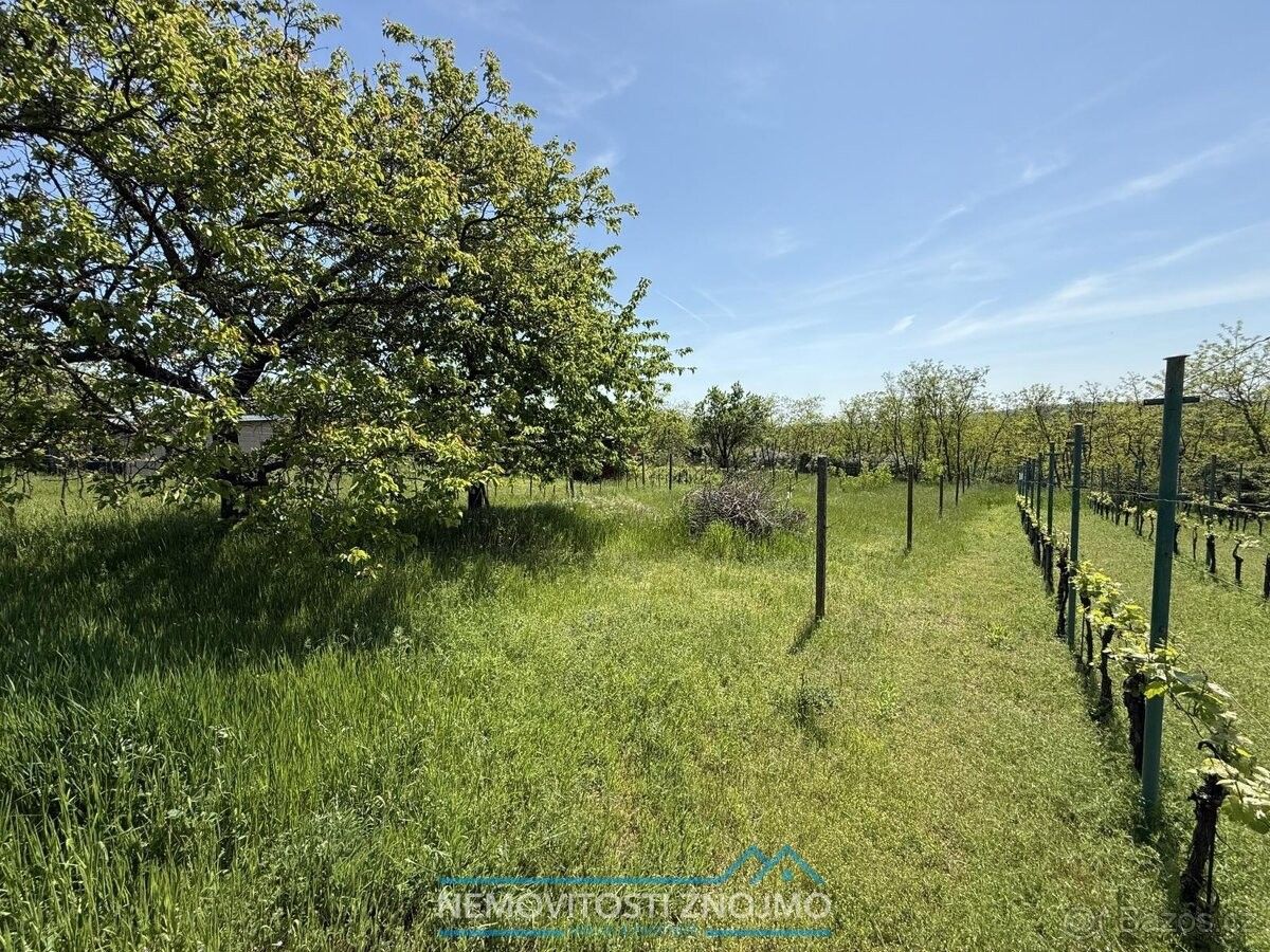 Zahrady, Dobšice, 671 82, 650 m²