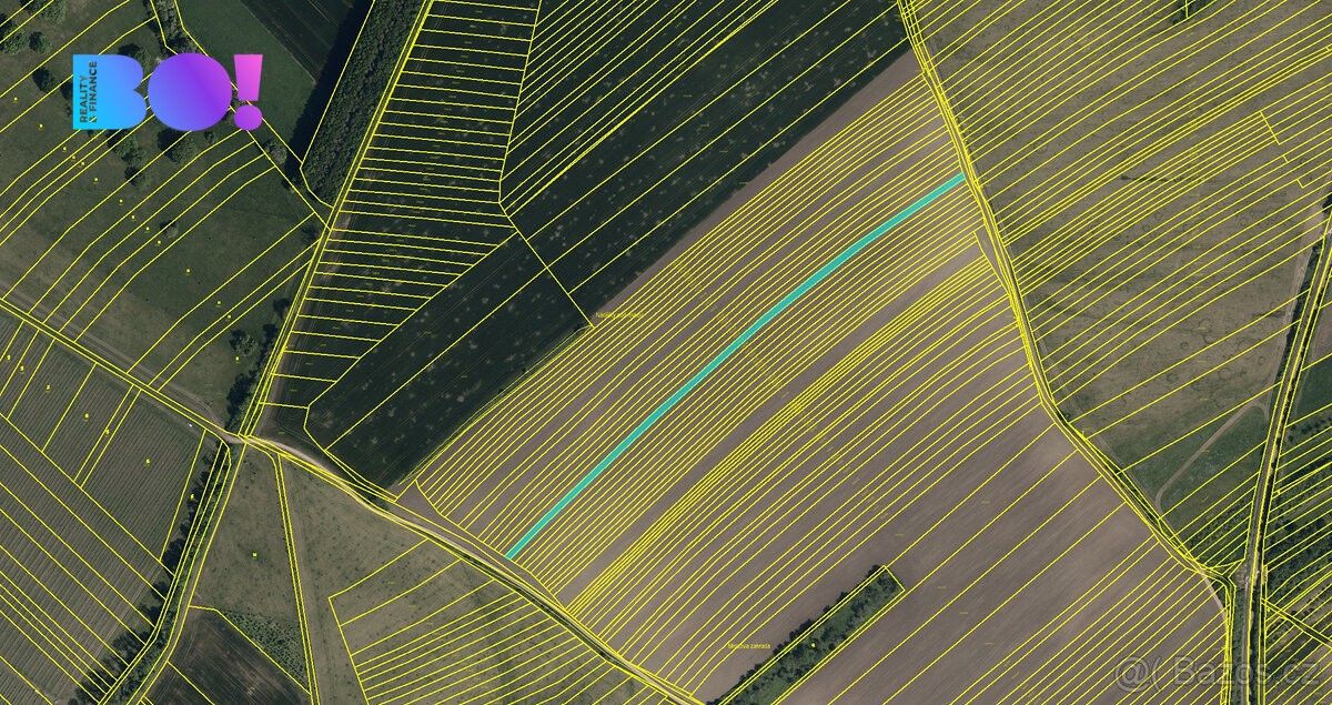Prodej zemědělský pozemek - Velká nad Veličkou, 696 74, 2 696 m²