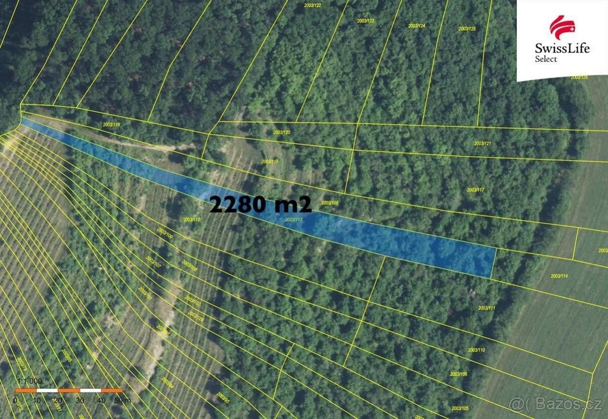 Prodej zemědělský pozemek - Brumovice na Moravě, 691 11, 3 394 m²