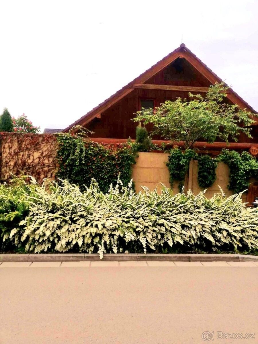 Ostatní, Pardubice, 530 03, 180 m²