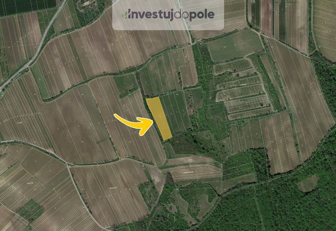 Prodej louka - Horní Věstonice, 8 391 m²