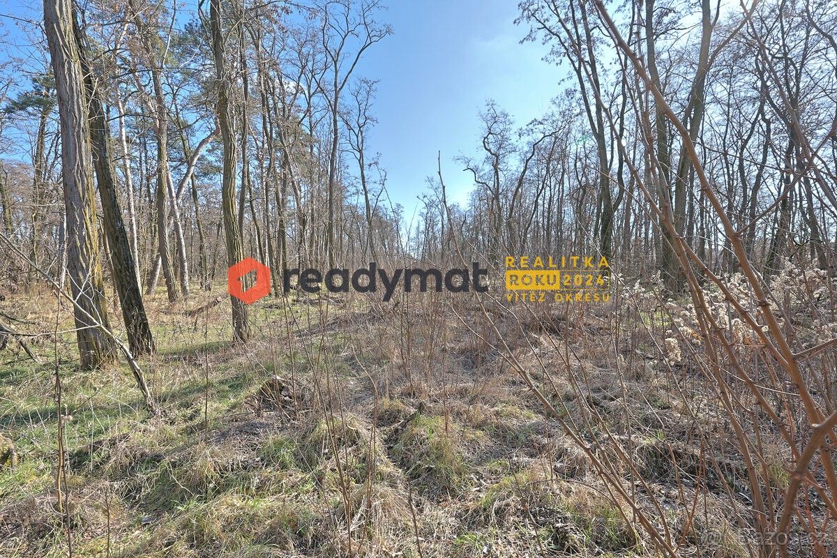 Lesy, Dubňany, 696 03, 5 323 m²