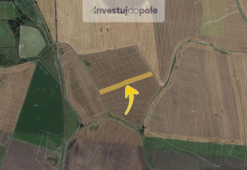Prodej zemědělský pozemek - Dobrovice, 294 41, 8 988 m²