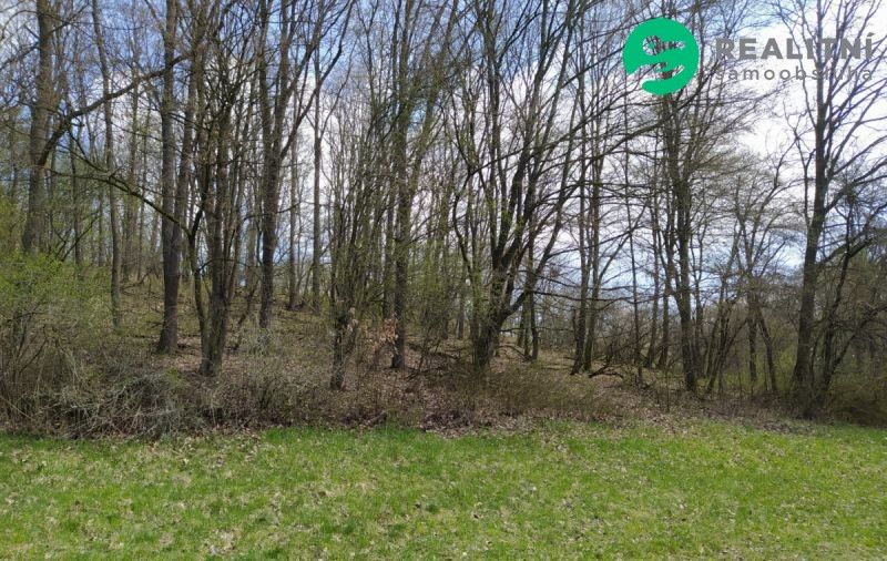 Ostatní, Hradčovice, 687 33, 2 172 m²